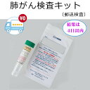 【送料無料】肺がん検査 検査キット 喀痰 細胞診 血痰 健診 検診 自己採取 郵送検査