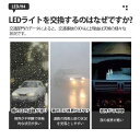 tohostore:10000157のサンプル画像2