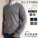 \20%OFFクーポン対象/カシミヤ100% メンズ Vネックプルオーバー 【品質検査済】【手洗い可能】紳士用 V首 カシミア セーター ニット シンプル クリ...
