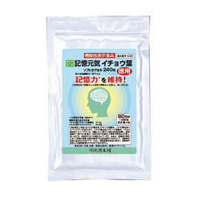 記憶元気イチョウ葉（徳用パック） 【200mg×240粒】【smtb-s】