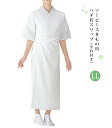 ツーピース きもの用 バチ衿スリップ 白 LL 半衿付き レディース 日本製 0005-03505 0001-03204-w