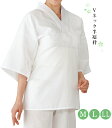 Vネック 半襦袢 塩瀬半衿 白 綿100% M L LL レディース 日本製 0001-03608