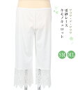【 更紗レース キモノキュロット 】 ( SM / ML ) 白 サラサ・デ・サラサ ローライズ 綿 コットン レース 肌着 下着 和装下着 ステテコ 和装ステテコ 着物 きもの 日本製 saraca de sarasa 茶道家 伊丹宗友 ブランド