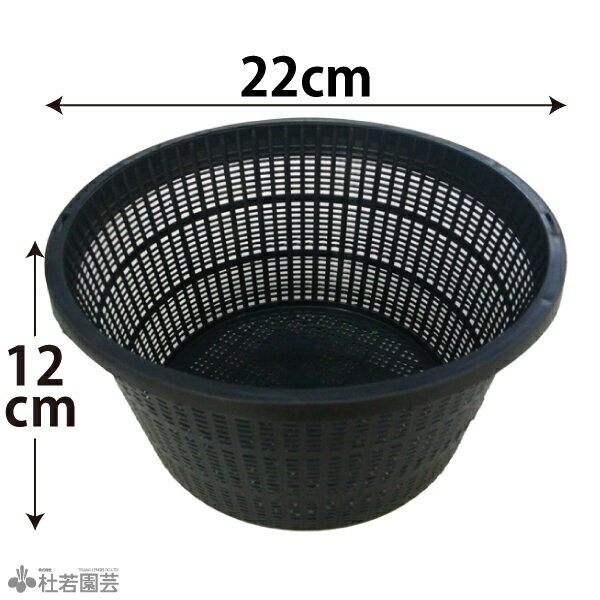 【スイレン、水生植物におすすめ！】丸型植物カゴ（22cm）