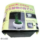 水生植物植え替えセット(角型カゴ・硬質赤玉土入り)