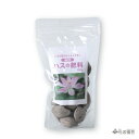 花芽がよく付く! ハスの肥料 350g