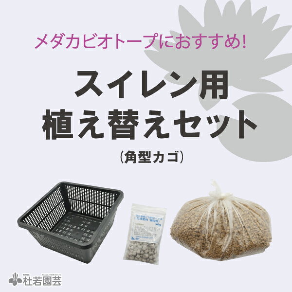 商品情報セット内容■プラスチック製植物角カゴ（縦19cm×横19cm×高さ9cm）■赤玉土（小粒） 2L■化成肥料50g■説明書植え付け手順＜手順＞(1)植物カゴに赤玉土を少量入れます。　　　　　　　　　　↓(2)お手持ちのスイレンをポットからそっと出して、植えつけたい場所を決め、配置します。　　　　　　　　　　↓(3)残りの赤玉土を入れます。その際、土の隙間がないようにしっかり植え込んでください。肥料は株元から離れた所に3粒程度、土の中に押し込んでください。 　　　　　　　　　　↓(4)水鉢に入れる際、そっと沈めてください。【メダカビオトープにおすすめ！】スイレン用植え替えセット(角型カゴ) 株分け　植え替え スイレン植え替えに最適のセットです。しっかり株が張ったスイレンは次のシーズンも花つきをよくするために、株分けをオススメします。このセットで植え替えも簡単です。また、ビオトープに使用する植物を植え替えるのにも大変便利です。植え込む土は赤玉土なので、メダカにも優しく、ビオトープのイメージを損ないません。 5