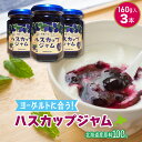 ハスカップジャム160g×3本(ラッピング可) 添加物不使用 無添加 北海道 甜菜糖ヨーグルトソース フルーツソース デザートソース ベリーソース パンケーキ ...
