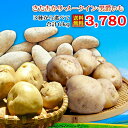 じゃがいも 玉ねぎ 2020新じゃが&新たまねぎ 送料無料予...