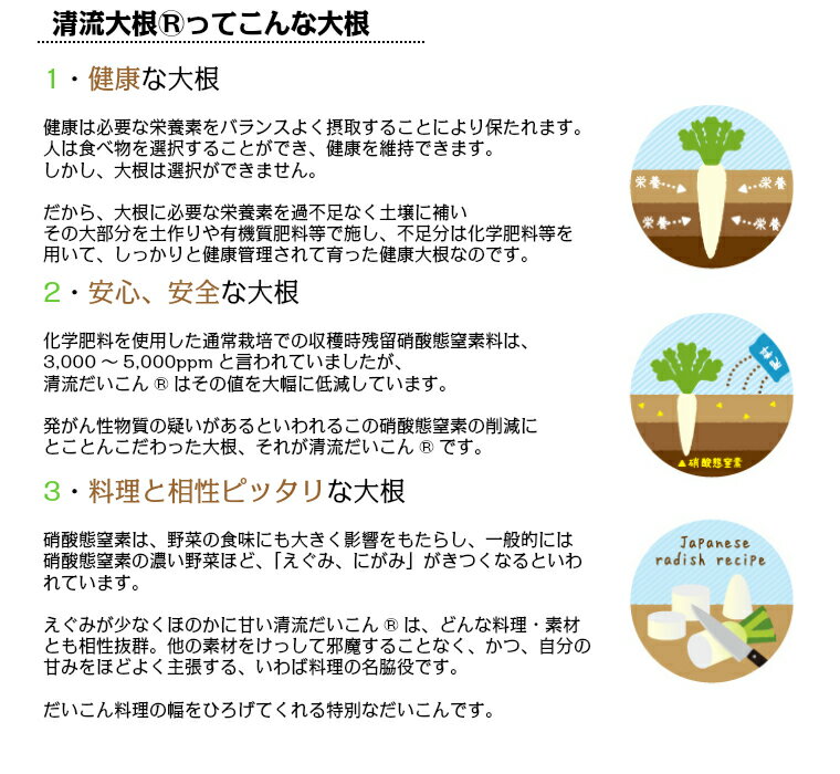 切り干し大根 太め 無添加 北海道十勝産 とかち切り干し清流大根150g(50g×3袋) 乾燥野菜 3