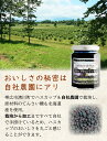 tokachi-berryfarm:10000227のサンプル画像3
