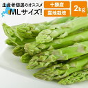 アスパラ 北海道 産 北海道 アスパラガス 露地栽培 アスパラ M~Lサイズ混合 2kg 十勝産 朝採り 露地物 送料無料