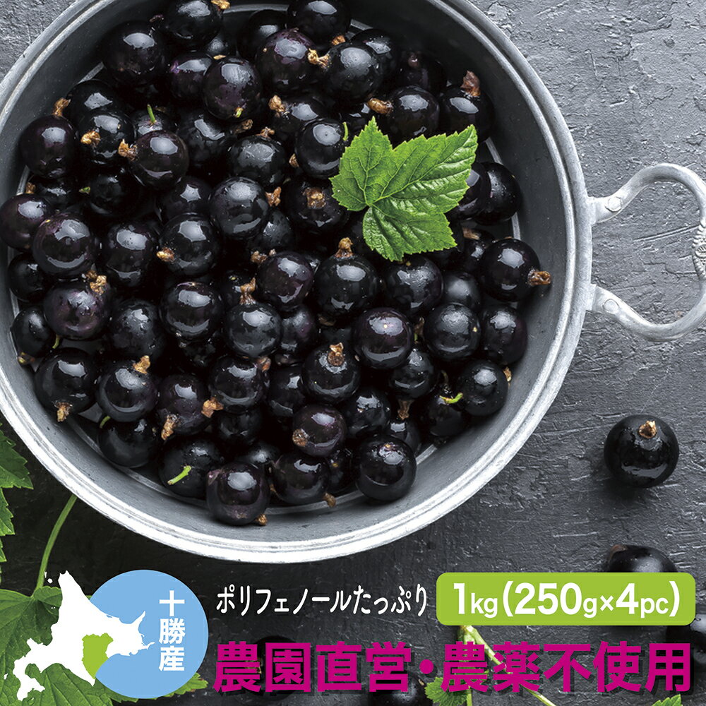 冷凍黒カシス(農薬不使用) 国産 1Kg(250g×4) 2025年産 北海道十勝産 ブラックカラント スーパーフード