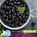 冷凍黒カシス(農薬不使用) 国産 500g(250g×2) 2024年産 北海道十勝産 ブラックカラント スーパーフード