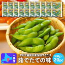 冷凍枝豆 国産 北海道産 JA中札内村 そのままえだ豆 300g×20パック 冷凍食品 冷凍野菜 送料無料 そのまま枝豆 中札内枝豆 業務用
