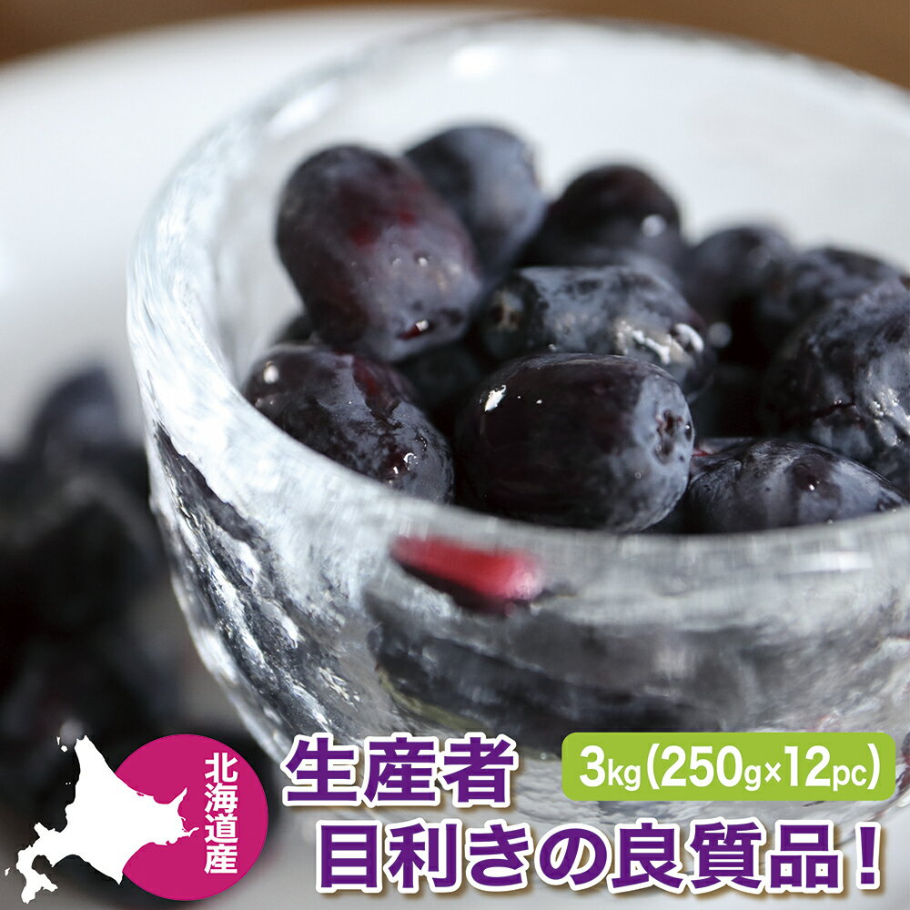 【予約受付 8/1出荷開始】 冷凍ハスカップ 3Kg(250g×12) 2023産 北海道産のサムネイル