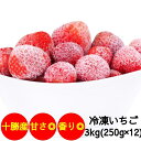 Ⓚ kCY XEB[eB[A} 3Kg(250g~12)