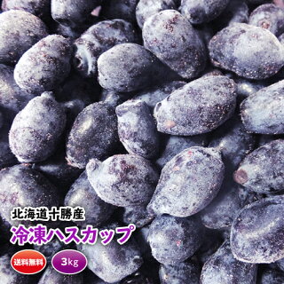 【冷凍ハスカップ冷凍3kg】【新物:特価!】【送料無料】【北海道十勝産】平成28年7月収穫予定です!十勝ベリーファーム02P18Jun16