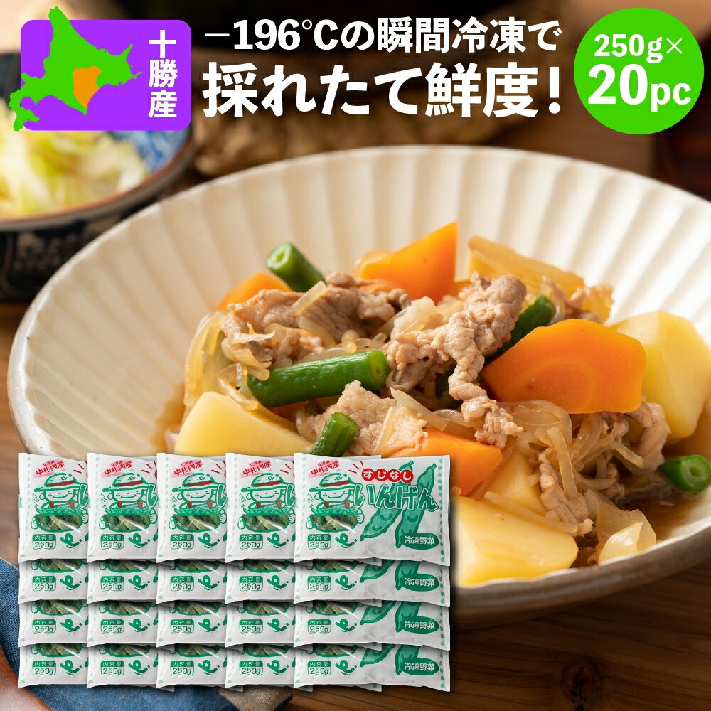 【新着】 冷凍 すじなしいんげん(すじなし豆) 国産 北海道産 JA中札内村 すじなしいんげん 250g×20 送料無料 冷凍野菜 冷凍食品