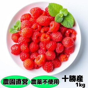 【残り僅か】冷凍ラズベリー(農薬不使用) 1kg(250g×4) 北海道十勝産