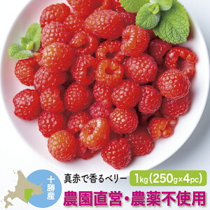 冷凍ラズベリー 国産 1kg(250g×4) 北海道十勝産 栽培期間中農薬不使用