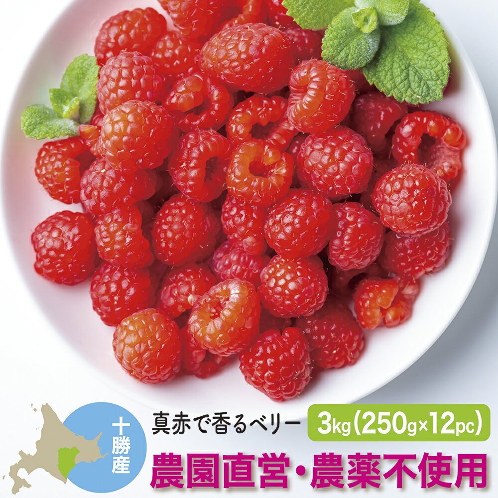 冷凍ラズベリー 国産 3kg(250g×12) 北海道十勝産 栽培期間中農薬不使用のサムネイル