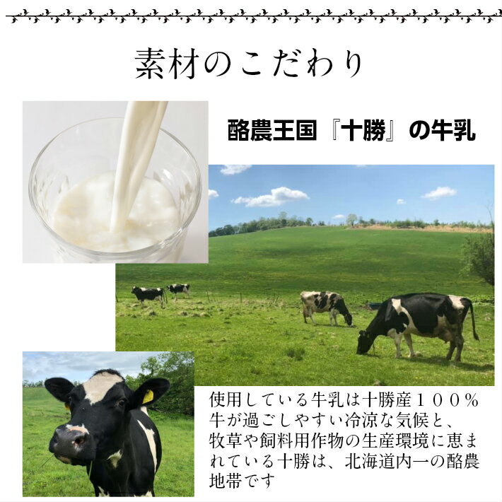 シフォンケーキ 1/12カットサイズ 50個 送料無料 北海道 十勝 洋菓子 お取り寄せ イベント 景品 粗品 お土産 お返し お中元