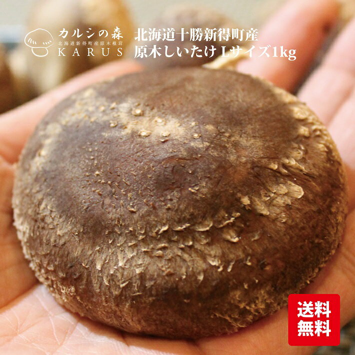 【送料無料】北海道十勝新得町産原木しいたけ【特選Lサイズ1kg】無農薬/椎茸/野菜/産地直送