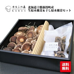 【送料無料】北海道十勝新得町産原木しいたけ【カルシの森特選 原木椎茸（生・乾）詰め合わせセット】無農薬/椎茸/贈答用/産地直送