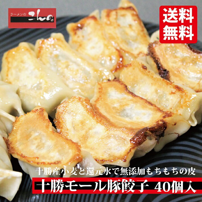 【送料無料】北海道帯広市【十勝モール豚餃子】40個入/十勝モ