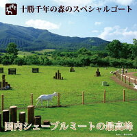 北海道十勝清水町十勝千年の森チーズ工房十勝シェーブルオリーブオイル