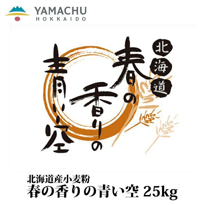 【送料無料】春の香りの青い空【25kg】業務用/国産/小麦粉/強力粉/北海道産/パン用/もっちり