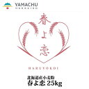 【送料無料】春よ恋【25kg】業務用/国産/小麦粉/強力粉/北海道産/パン用/もっちり