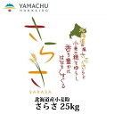 【送料無料】さらさ【25kg】業務用/国産/小麦粉/中力粉/北海道産/スポンジケーキ/うどん/餃子の皮/しっとり