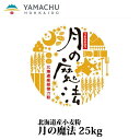 月の魔法業務用/国産/小麦粉/超強力小麦粉/北海道産/パン用/もっちり