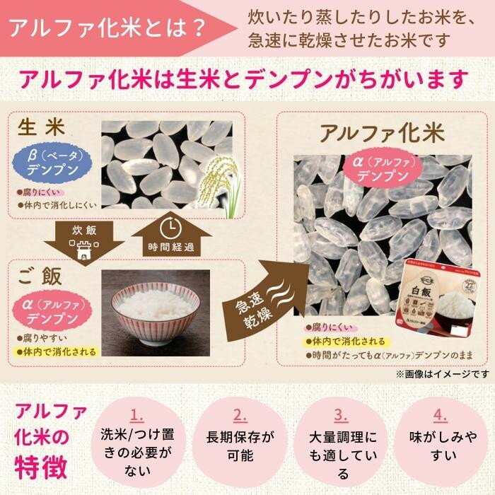 G アルファー食品 安心米 ひじきご飯(玄米入り)100g ×15袋 114216611 ご飯 ごはん お米 安心米 国産 うるち米 ひじき しいたけ 長期保存5年 防災 備え 備蓄 長期保存食 保存食