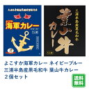 よこすか海軍カレー ネイビーブルー・葉山牛カレー 2箱セット レトルト カレー レトルトカレー 詰め合わせ ご当地 横須賀 呉 佐世保 葉山 葉山牛 ネイビーブルー ご当地 ネコポス おいしい 有名 人気 防災 非常食 よこすか 限定