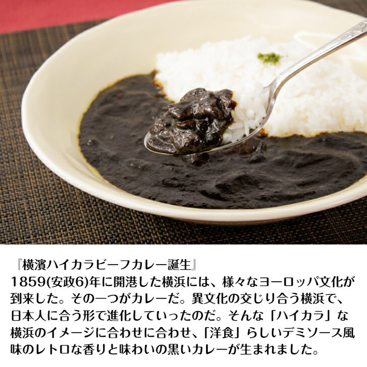 G 横濱ハイカラビーフカレー＆横浜家系カレー 限定セット カレー レトルト レトルトカレー 横浜家系 家系 家系ラーメン おろしにんにく 味濃いめ 油多め 豚骨 横浜発祥 ご当地 ビーフカレー レトロ 洋食 デミソース ネコポス