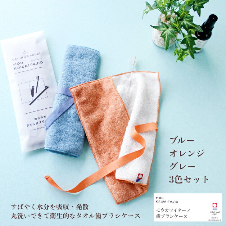 ＼10%ポイント還元 6/13 10:00- 6/27 09:59／【2025月6月末入庫分予約受付】G モウカワイターノ 歯ブラシケース 3色セット 歯ブラシ ケース タオル生地 今治 今治タオル 吸水力 丸洗い 速乾 衛生的 持ち運び 小物 ポケット 長時間 収納力 歯磨き粉 目薬 日本製