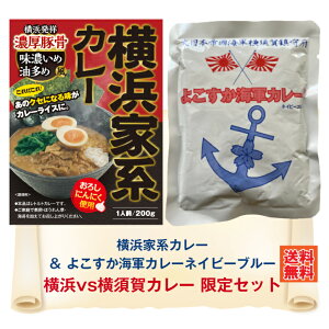G よこすか海軍カレーネイビーブルー&横浜家系カレー 限定セット カレー レトルト レトルトカレー 横浜家系 家系 家系ラーメン にんにく 味濃いめ 油多め 豚骨 横浜発祥 横須賀 ご当地 ネコポス なりゆき なりゆき街道旅