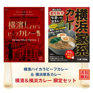 G 横濱ハイカラビーフカレー&横浜家系カレー 限定セット カレー レトルト レトルトカレー 横浜家系 家系 家系ラーメン おろしにんにく 味濃いめ 油多め 豚骨 横浜発祥 ご当地 ビーフカレー レトロ デミソース ネコポス