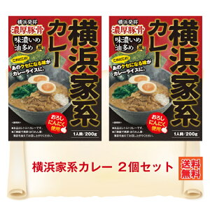 G 横浜家系カレー2個 限定セット カレー レトルト レトルトカレー 横浜家系 家系 家系ラーメン にんにく 味濃いめ 油多め 豚骨 マイルド 横浜発祥 クセになる味 つけ麺 ネットニュース話題 レトルトカレー ご当地 ネコポス