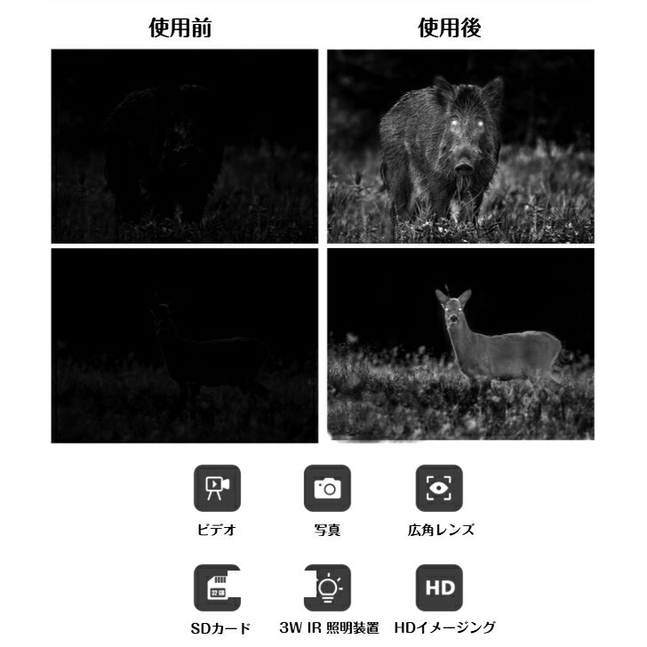 G �Ż륹������ DX AS-CO1 ����� �������� �̿� ư�� Ͽ�� ���顼 ��� �Ű� ��� ���� ���� ưʪ �����ȥɥ� ������ �ʿ� �л� �ե�����ɥ������� �ֳ��� ���� ����