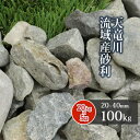 \ポイント5倍♪マラソン中!/天竜川流域産 砂利 20-40mm 100kg (20kg×5袋) | 庭 砂利 おしゃれ 園芸 ガーデン diy 庭に敷く 外構 敷く 石 庭石 ガーデニング 和風 グレー ブラック 川 大粒 大きめ 敷石 敷き石 川砂利 じゃり ジャリ ガーデンストーン 坪庭