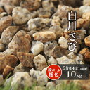 白川さび砂利 5分 (約14-21mm) 10kg | 庭 砂利 おしゃれ 外構 庭に敷く 砂利敷き 石 庭石 敷石 化粧砂利 ガーデニング ガーデン diy ...