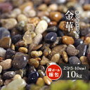 金華 2分 (約5-10mm) 10kg