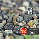 大磯 3分 5kg 【在庫限り】 | 約5-15mm 庭 砂利 玉石 玉砂利 砂利 玉砂利 庭 玉石 ガーデン 園芸 アジアン 敷き砂利 和 販売 石 じゃり ジャリ おしゃれ 庭石 ガーデニング エクステリア ベランダ 防犯対策 リフォーム 庭園 造園