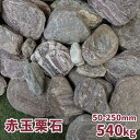 赤玉栗石 50-250mm540kg (18kg×30箱セット) サイズ 約50-250mm 1箱の重量 約18kg 1箱の個数 5~15個前後 商品説明 丸い形と深みのある赤色が印象的な「赤玉栗石」です。赤玉栗石はその名の通り、赤みのある色合いが特徴です。ひとことに「赤」とは言っても、落ち着いた深みのある赤色が多く、また、赤の石の中にも白や青色の筋が入った石が混ざり、自然な雰囲気のお庭づくりをお手伝いいたします。大きさは、存在感ばっちりな約5~25センチのゴロっとしたサイズ感です。自然の石なので、草花の間に数個置くだけでもお庭のアクセントになってくれます。和風のお庭だけではなく、洋風なロックガーデン・ドライガーデンなどのメインや花壇の縁取りの石、土留め石、店内ディスプレイとしてもおすすめです！〇濡らすと濃い色とツヤのある質感に人の手を加えていない自然な丸み・形の赤玉栗石は、雨や散水で水に濡れると乾いた状態の石と比べて濃い色と、ツヤのある風合いをお楽しみいただけます。雨の日のお庭も、晴れの日とはひと味違う景色に演出♪〇枯山水や花壇の縁石に大きなサイズの栗石は、お庭に数個置いても存在感抜群です。また、丸い形は、角張った形の石と比べて柔らかな印象を与えてくれます。コンクリートブロックやレンガなどの人工物とは違った、自然の石を使ったお庭づくりはいかがでしょう。★「ロックガーデン」って？ロックガーデンは、岩石と植物を組み合わせ、自然に近い状態で楽しむガーデニングです。石と石の間に、多肉植物や高山植物・ハーブ類・山野草・チューリップのような球根類を植えるのがおすすめです。★天然石ならではのご注意事項東海砂利の赤玉栗石は天然石(自然石)です。そのため、色が濃い石や薄い石、白や青の筋が入る石・白や青に近い色の石などがあります。また、形も、細長い形や平たい形、ごつごつとした形や丸みのある形など、さまざまです。色・形ともに人工的な加工は行っておりません。自然の中で形成された、石それぞれの個性をお楽しみください。★お届けする石はランダムです！重量を基準に出荷をしております。そのため、石のサイズ,個数,形状,色合いなどをご指定いただくことが出来かねます。★石の大きさにつきまして石の大きさが表記サイズの基準を満たしているものであれば、お客様へ出荷をしております。そのため、大きめの石が多く入る箱、小さめの石が多く入る箱など、箱によってばらつきが出る場合があります。※大きめの石が多い箱・小さめの石が多い箱などをお選びいただくことはできません。★面積(容積)当たりの必要個数・重量につきまして石一つ一つの大きさや形状にバラつきがあり均一でない為、箱にお入れする石のサイズによって個数が大きく変動いたします。そのため、面積(容積)当たりの必要個数・重量は、お問い合わせいただきましてもお答えができかねます。予めご了承ください。 注意事項 ・採取地やロット、ご覧のモニタの設定等により実物の色と多少異なる場合がございます。・記載のサイズ,重量,個数は前後する場合がございます。・乾燥石ではございません。お届け時、石が湿っている場合がございます。・輸送中に、割れ,欠けが生じる場合がございます。・石の粉や土、植物の根などが付着している場合がございます。 ★この商品のキーワード★ 庭 石 庭石 大 おしゃれ 大きい 販売 ロックガーデン ゴロタ ガーデンロック 石材 グリ石 ごろた 栗石 丸 赤 赤石 置き石 園芸 ガーデニング 縁石 diy ガーデン 置くだけ XL ドライガーデン 化粧石 飾り石 ロック グリ ぐり ぐり石 ストーン 自然石 天然石 国産 花壇 岩 ロック 土留め 土留め石 石組み 石組 和風 洋風 ストーンガーデン カラー 色 レッド 赤色 紅 玄関 アプローチ エクステリア 外構 エントランス 坪庭 資材 ガーデンストーン 観葉植物 多肉植物 造園 リフォーム ごろた石 ゴロタ石 和 洋 アジアン エスニック 工作 インテリア ディスプレイ 植栽周り オブジェ 屋外 外 室内 ジオラマ 模型 ベランダ 庭園 オシャレ モダン 園芸用品 DIY 日曜大工 資材 にわ お庭 リホーム ビオトープ ビバリウム テラリウム 小庭 ミニガーデン いし 丸石 丸い石 庭の石 通販 通信販売 送料込み 送料込 stone rock garden赤玉栗石 50-250mm 540kg (18kg×30箱セット) 丸い形と深みのある赤色が印象的な「赤玉栗石」です。ひとことに「赤」とは言っても、落ち着いた深みのある赤色が多く、また、赤の石の中にも白や青色の筋が入った石が混ざり、自然な雰囲気のお庭づくりをお手伝いいたします♪和風のお庭だけではなく、洋風なロックガーデン・ドライガーデンなどのメインや花壇の縁取りの石、土留め石、店内ディスプレイとしてもおすすめです！ 赤玉栗石について 花壇の縁石やシンボルツリーに、また、ロックガーデンやドライガーデンの置き石・化粧石としておすすめ、約5-25cmサイズです。天然石のため表記よりも大きい石、小さい石が入ることもあります。ご了承ください。実際のサイズ感は、右の500mlのペットボトルとの画像や手に持った石の画像をご参考としてください。 深い赤色の石を中心に、濃い色や薄い色の石、白や青に近い色の石、白や青の筋が入った石など様々な風合いが見られます。また、形状も、細長い形や平たい形、ごつごつとした形や丸みのある形などが入っています。ひとつ一つ違う色や形が、人工物の単調さとは違った自然な雰囲気を演出すること間違いなしです！ 乾いた状態の石は全体的に、深い赤色の石にも白っぽさを感じます。雨や散水などで石が濡れると色が濃くなり、乾いた時よりも深い色合いをお楽しみいただけます。 約5~25cmの石が、1箱18kgあたり5~15個前後入っています。自然石のため、サイズや形状,色合いに個体差があります。また、重量を基準に出荷をしているため、サイズ,形状,個数,色味などをご指定いただくことが出来かねます。 詳しくはコチラ