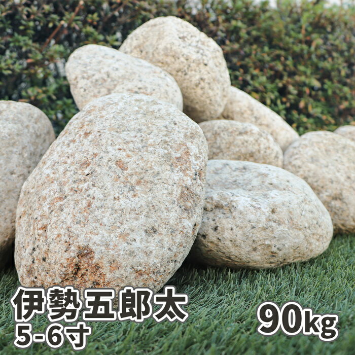 伊勢五郎太 5-6寸(約150-180mm) 90kg(18kg×