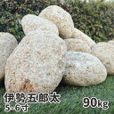 ＼5月5日限定!ポイント2倍／伊勢五郎太 5-6寸(約150-180mm) 90kg(18kg×5箱) | 庭 石 おしゃれ 大 庭石 販売 ガーデニング 園芸 diy レイアウト ロックガーデン 自然石 化粧石 ガーデン 栗石 花壇 縁石 置き石 外構 丸 ゴロタ ごろた 和 グリ 5寸 6寸 石材